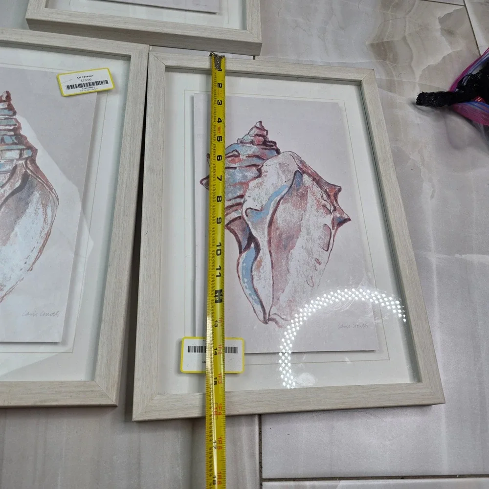 Lanie Loreth Seashell Framed Art Set 3 Coastal Nautical Watercolor Wall Decor